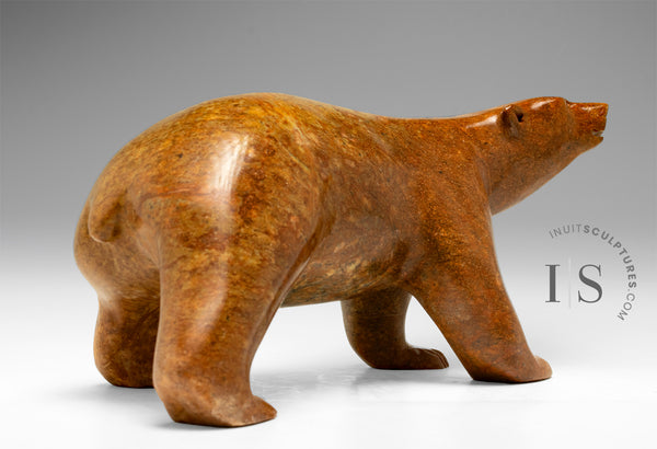 14" SIGNATURE Walking Bear by Bill Nasogaluak