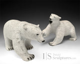 12" Polar Bear by Paul Malliki *Swipe Left*