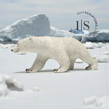 14" Walking Polar Bear  by Paul Malliki *Walkabout*