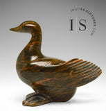 9" Ptarmigan by Pea Michael *Chameleon*