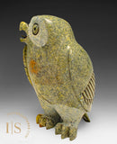 7" SIGNATURE Owl by Pits Qimirpik  *Neil Degrasse*