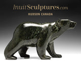 10" SIGNATURE Walking Bear by Tim Pee *Cubby*