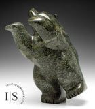 15" Dancing Bear by David Shaa *Sprig*