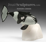 8" SIGNATURE Orca by Derrald Taylor *Catch Me If You Can!*