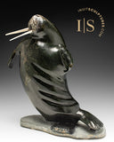 14" Dancing Walrus by Jaco Ishulutak *Frederick*