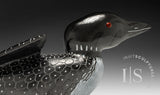 16" SIGNATURE Loon by Jimmy Iqaluq *Paddy*