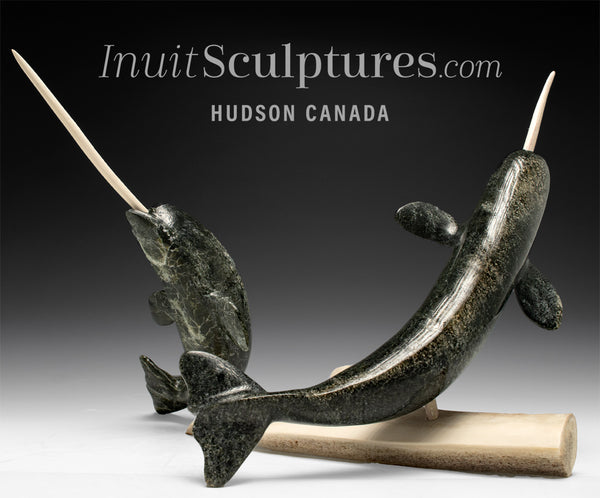 18" Sparring Narwhals by Emataluk Saggiak *Vom Tag*