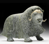 17" SIGNATURE Muskox by Lucassie Ikkidluak "Limey*