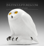 8" SIGNATURE White Owl by Elite Carver Manasie Akpaliapik *Pure Innocence*