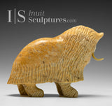 6" Muskox by Peter K. *Little Warrior*