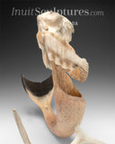 Narval Sedna 20" par Paul Malliki
