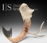 Narval Sedna 20" par Paul Malliki