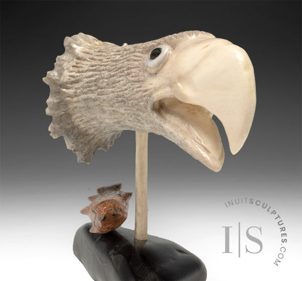 7" Moose Antler Eagle with Fish by Peter K. *His Royal Beakness*