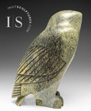 VERY LAST ONE - 9" SIGNATURE Owl by the Late Pits Qimirpik (1956-2024) *Tawny Girl*