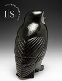 10" SIGNATURE Owl by Pits Qimirpik *Clooney* CURATOR'S CHOICE