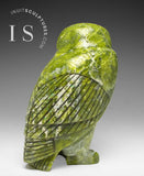 VERY LAST ONE - 8" SIGNATURE Owl by the Late Pits Qimirpik (1956-2024) *Irish Eyes*