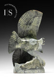 10" SIGNATURE Eagle with Fish by Pits Qimirpik *Expectation*