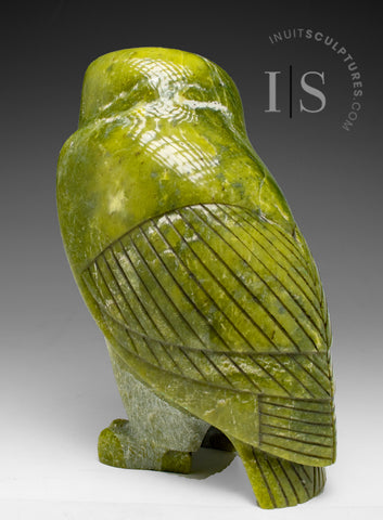 8" SIGNATURE Owl by the Late Pits Qimirpik (1956-2024) *Shining Light* KEEP HIS MEMORY ALIVE