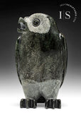 8" SIGNATURE Owl RARE Grey Stone by Pits Qimirpik *Brigadier*