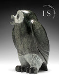 8" SIGNATURE Owl RARE Grey Stone by Pits Qimirpik *Brigadier*