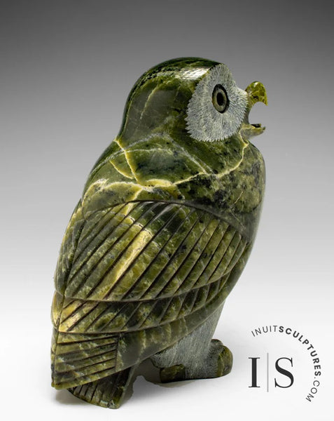 7" SIGNATURE Owl by Pits Qimirpik *New Years* CHRISTMAS COLLECTION