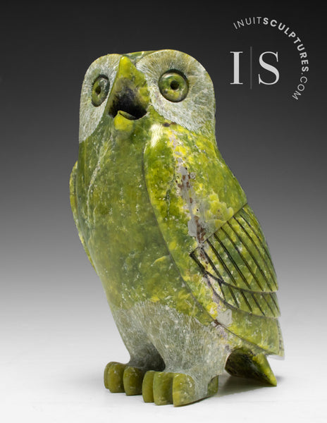 6" SIGNATURE Owl by Pits Qimirpik *Christmas* CHRISTMAS COLLECTION