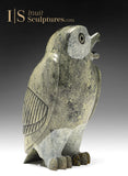 8" SIGNATURE Owl RARE Pale Green Stone by Pits Qimirpik *Laddie*