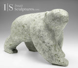 15" Walking Bear by Moe Kolola *Kody*