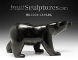 10" SIGNATURE Walking Bear by Tim Pee *Black Beard*