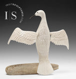 10" Majestic Bird by Harrison Miklahook Jr. *Nobility"