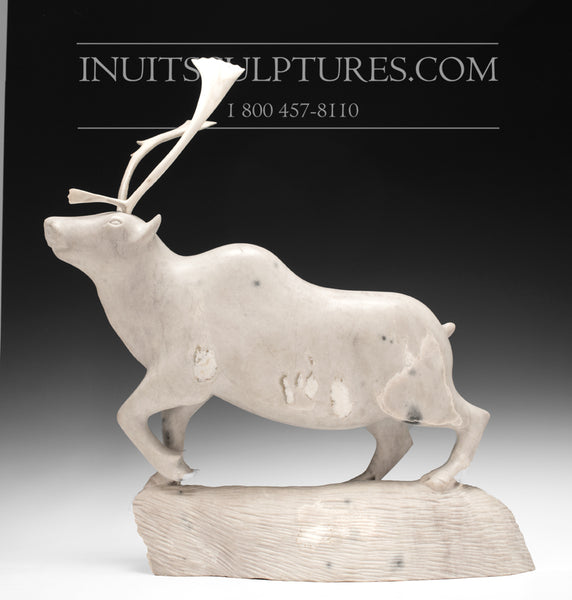 21" Museum Sculpture Camouflage Caribou (2001) by Master Carver Moses Koonark