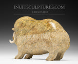 12" Muskox by Seepee Ipeelie (1940-2000)