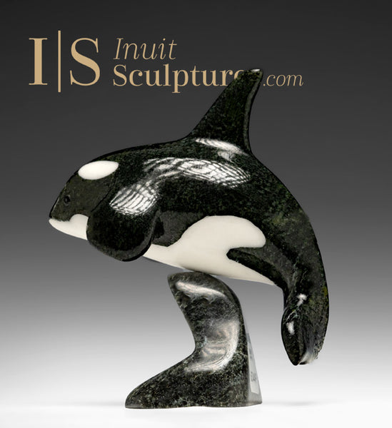 6" SIGNATURE Orca by Johnnysa Mathewsie  *Frozen in Time*