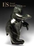 28" Dancing Bear by Adamie Qaumagiaq "Nightfall" CURATOR'S CHOICE