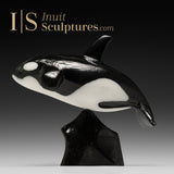 9" SIGNATURE Orca by Johnnysa Mathewsie *Oreo*