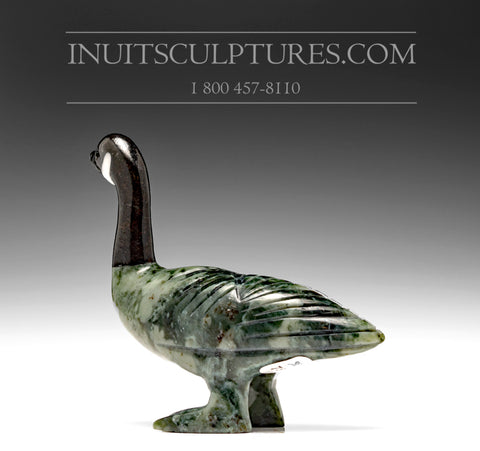 5" Unique Green Colored Canada Goose by Johnysa Mathewsie