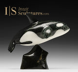 9" SIGNATURE Orca by Johnnysa Mathewsie *Oreo*