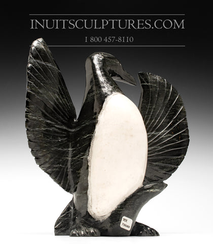 13" Murre Bird by Kellypalik Etidlooie