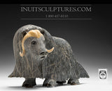 13" Iconic Masterpiece Muskox by Lucassie Ikkidluaq