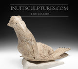 14" Walrus in Baleen by World Famous Manasie Akpaliapik