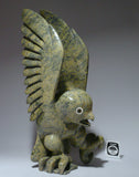 14" Dancing Owl by Famous Toonoo Sharky