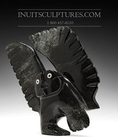 10" Owl with Inlayed Eyes by Palaya Qiatsuq