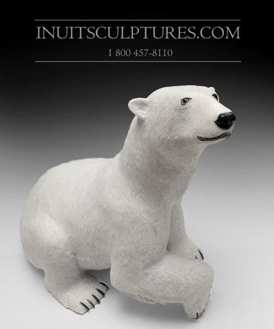 17" Sitting Bear by World Famous Paul Malliki