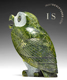 8" SIGNATURE Owl by Pits Qimirpik *Scout*