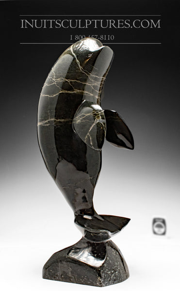 14" Whale by Luca Mikkigak