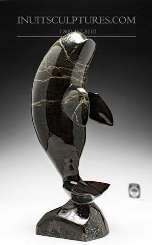14" Whale by Luca Mikkigak