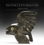 7" Flying Fish by Toonoo Sharky