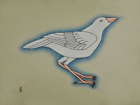 2015 WHITE RAVEN by Qavavau Manumie