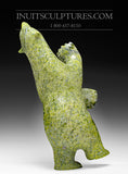 18" High Five Dancing Bear Ashevak Adla