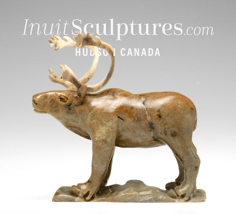 6" Caribou by Peter K. *Migration*